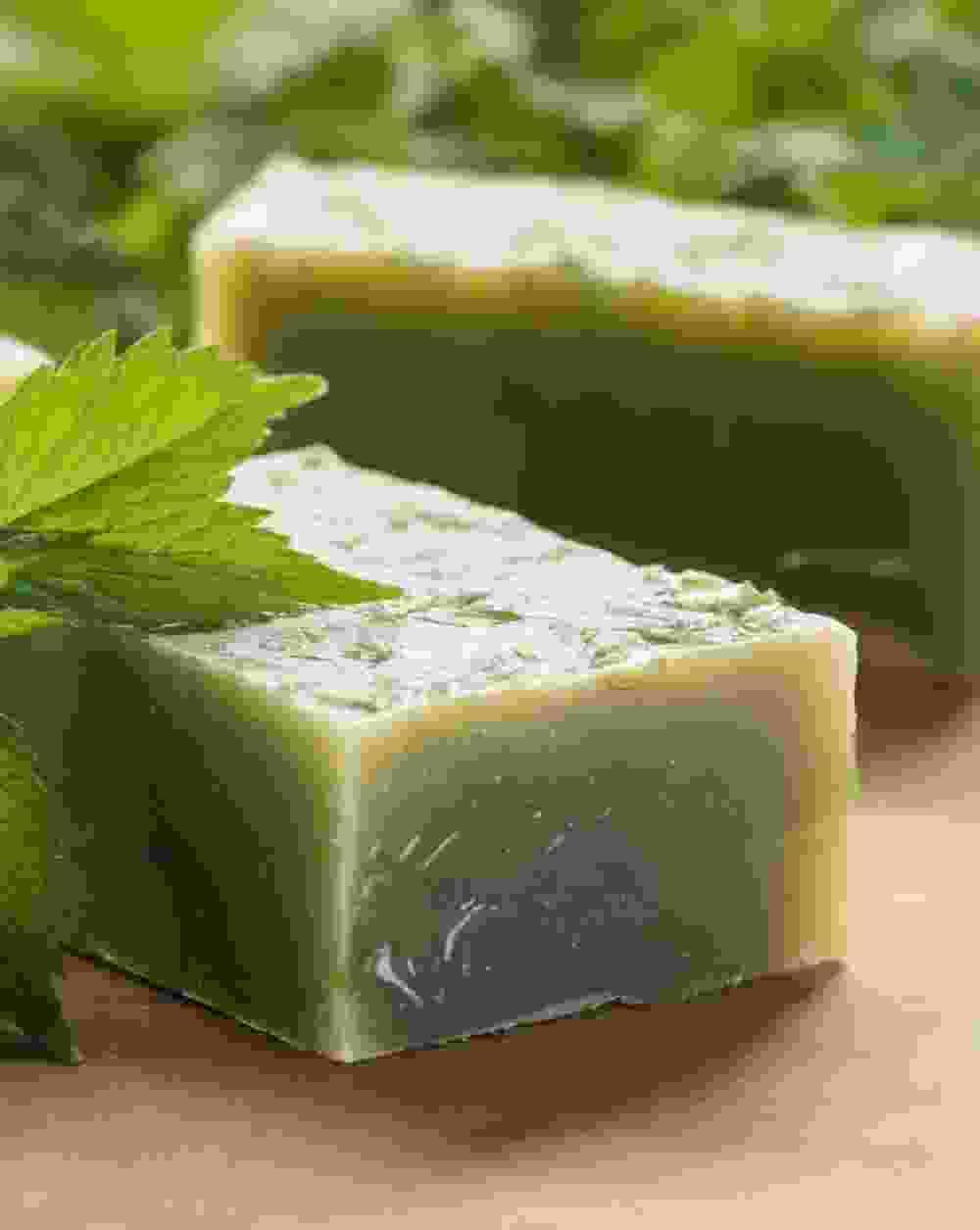 Shop Secondary Image Shop Secondary Image